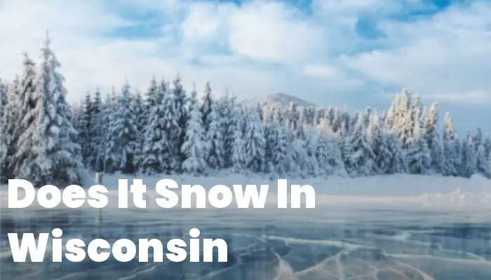 Snow In Wisconsin